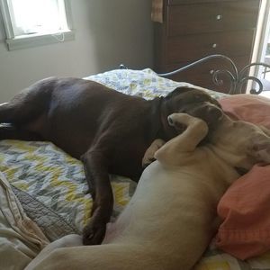 Meet your Posher, Vergie